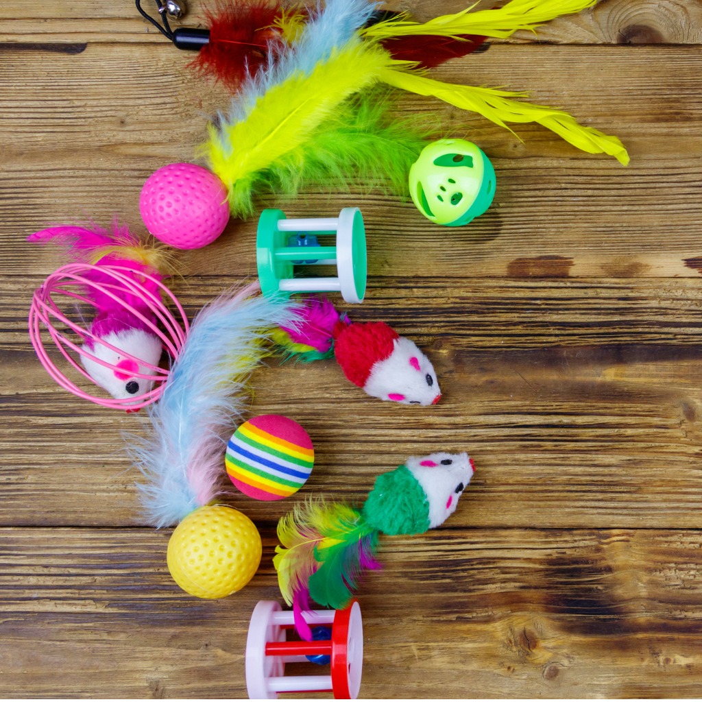 Cat toys