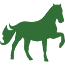 005-horse-raising-one-foot-silhouette-4